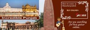 Buy Guitars online in Punjab